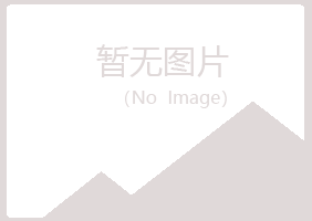 铁岭紫山化学有限公司